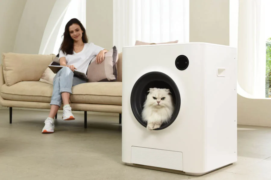 kitty robot litter